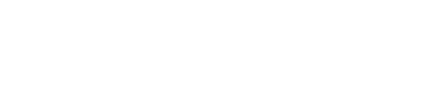 Logo_National-Bank_neu_weiss